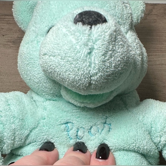 Disney Store Plush Spring Lagoon Mint green WINNIE THE POOH plush- RARE. - Picture 5 of 6